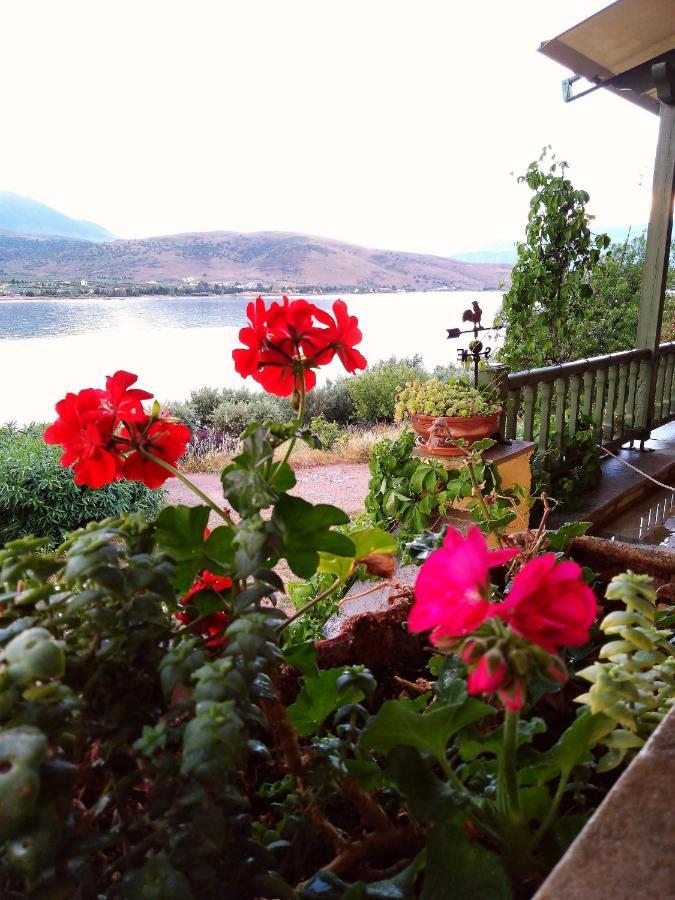 Aphrodite'S Coast Retreat House! Galaxidi Exterior photo